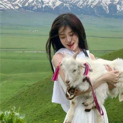 丛林里的诱惑