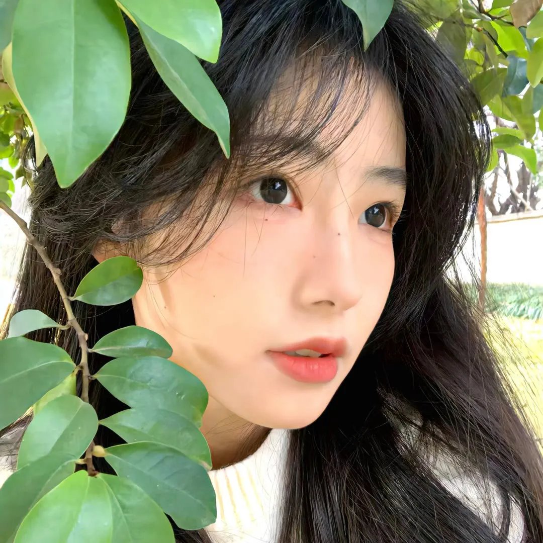 声生不息.大湾区季