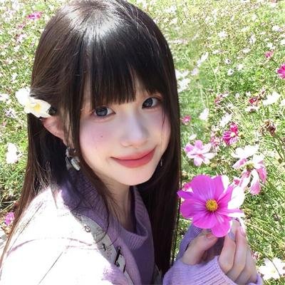 哈妮拉警报